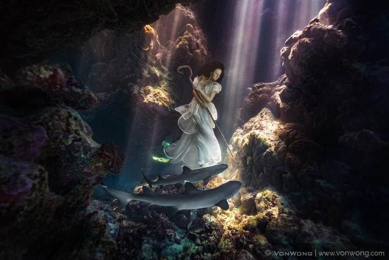 Illustration for article titled This Shark Shepherdess Looks Like She Stepped Out of an Underwater Fairy Tale